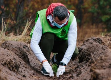 На Харьковщине за день высадили 40 тысяч деревьев