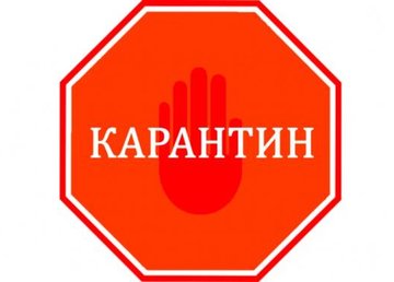 На Харьковщине зафиксирован случай африканской чумы свиней: вводятся карантинные ограничения На Харьковщине зафиксирован случай африканской чумы свиней: вводятся карантинные ограничения