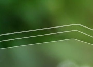 На развитие органического производства в этом году планируется выделить 50 млн грн