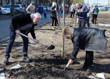 На Салтовском шоссе вместо парковки посадили аллею кленов На Салтовском шоссе вместо парковки посадили аллею кленов