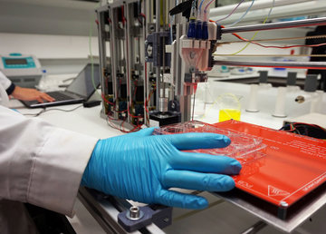 Новые технологии в лечении ран: 3D печать кожи Новые технологии в лечении ран: 3D печать кожи