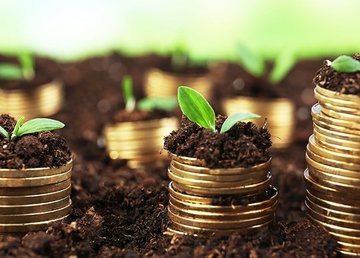 Об уплате земельного налога плательщиками единого налога Об уплате земельного налога плательщиками единого налога