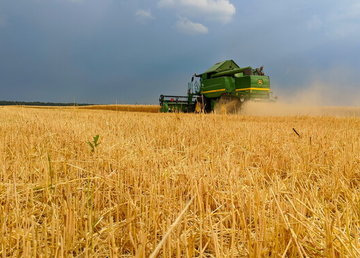 Около 600 тысяч тонн зерна нового урожая намолотили в Харьковской области