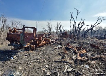 Окупанти могли спалити близько 20 тисяч га лісів Харківщини – попередні обстеження