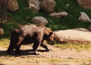 Осенью и зимой Харьковский зоопарк будет работать на час меньше 