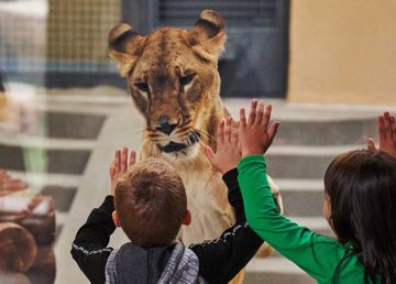 По понедельникам в Харьковском зоопарке - санитарный день 