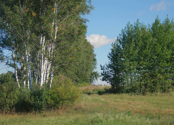 Полицейские Харьковщине устанавливают обстоятельства гибели человека в Лозовском районе