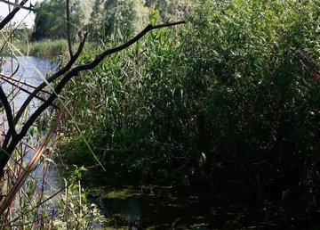 Полицейские устанавливают обстоятельства несчастного случая с ребенком на Харьковщине Полицейские устанавливают обстоятельства несчастного случая с ребенком на Харьковщине