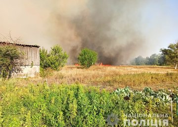 Полиция напоминает, что за уничтожение или повреждение объектов растительного мира предусмотрена ответственность