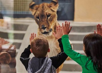 Понедельник – санитарный день Понедельник – санитарный день