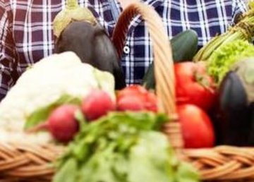 Правительство увеличило финансовую поддержку малых фермерских хозяйств