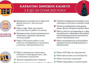 Правительство ввело «карантин зимних каникул»