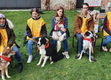 Приют для животных принял участие в кинологическом фестивале