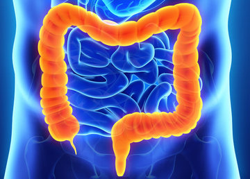 Проктолог: что лечит и какими методами?