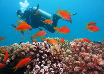 Шарм-эль-Шейх и Хургада: 7 советов для любителей активного отдыха Шарм-эль-Шейх и Хургада: 7 советов для любителей активного отдыха