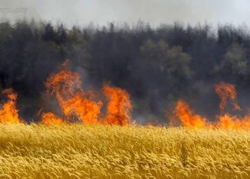 Шевченковский район: спасатели ликвидировали пожар внедорожника, который двигался через пшеничное поле Шевченковский район: спасатели ликвидировали пожар внедорожника, который двигался через пшеничное поле