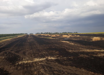 Шевченковский район: пожарными ликвидировано масштабный пожар на ячменном поле