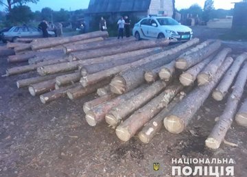 Следователи завершили досудебное расследование по факту незаконной вырубки леса в Харьковской области Следователи завершили досудебное расследование по факту незаконной вырубки леса в Харьковской области