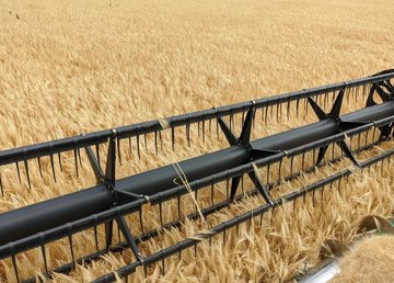 Для сбора урожая на Харьковщине задействуют около 3000 единиц техники