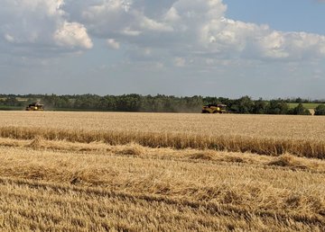 В Сахновщинском районе уже собрали 63% ранних зерновых