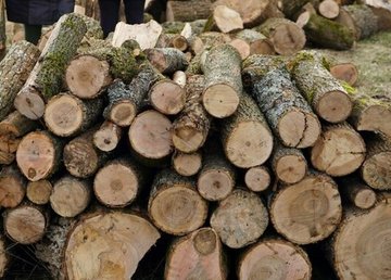 Триває забезпечення громад Харківщини паливною деревиною