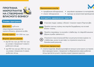 Украинцы могут получить до 250 тысяч грн от государства для начала собственного дела