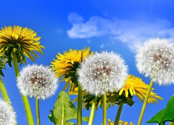 Укргидрометцентр сообщает-лето будет жарким