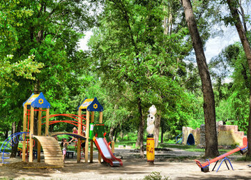 В центре Харькова от упавшей ветки пострадал ребенок. 