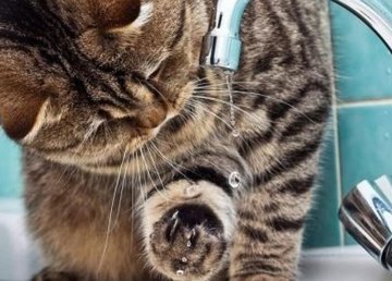 В части домов Харькова временно прекращено водоснабжение