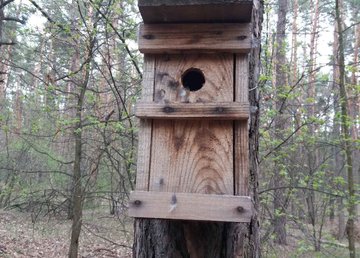 В Фельдман Экопарк студенты-орнитологи четвертый год реализуют проект «Сохраним птиц вместе»