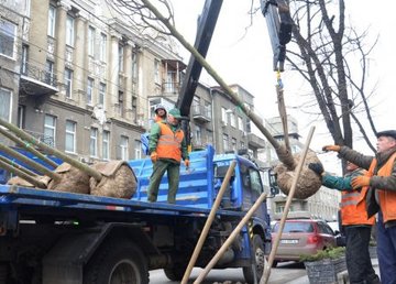 В городе высадят более двух миллионов цветов и полтысячи деревьев В городе высадят более двух миллионов цветов и полтысячи деревьев