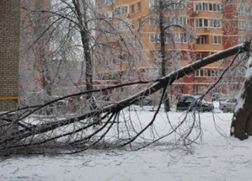 В Харькове ликвидируют последствия непогоды 