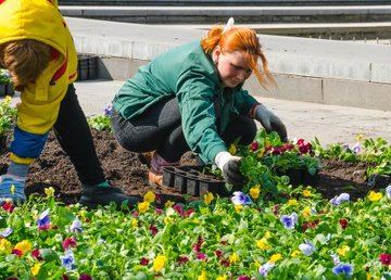 В Харькове начали высадку цветов В Харькове начали высадку цветов