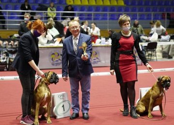 В Харькове проходит выставка собак на Кубок мэра Харькова