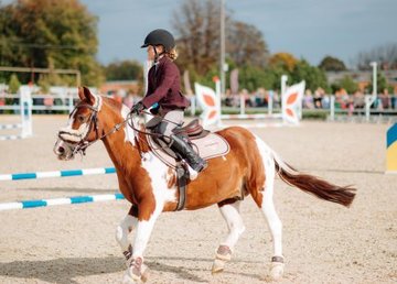 В Харькове прошел всеукраинский фестиваль верховой езды и конного спорта