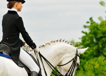 В Харькове пройдет всеукраинский фестиваль верховой езды В Харькове пройдет всеукраинский фестиваль верховой езды