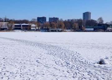 В Харькове реконструируют Алексеевский лугопарк В Харькове реконструируют Алексеевский лугопарк