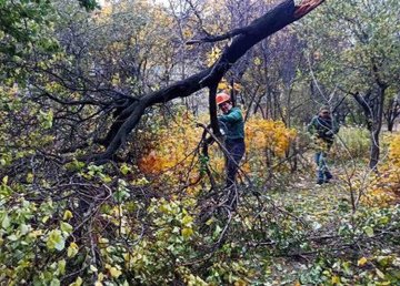 В Харькове устраняют последствия бури В Харькове устраняют последствия бури