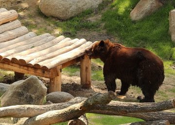 В Харьковском зоопарке будут проходить новые экскурсии  В Харьковском зоопарке будут проходить новые экскурсии