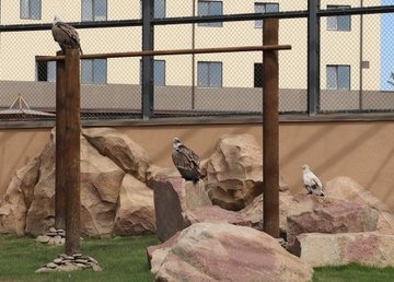 В Харьковском зоопарке - новый авиарий 