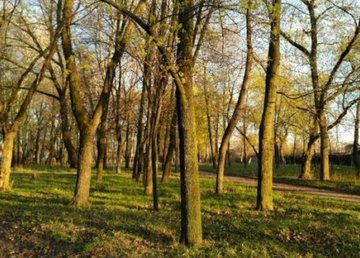 В Киевском районе реконструируют Карякин сад и откроют библиотеку В Киевском районе реконструируют Карякин сад и откроют библиотеку