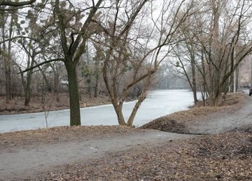 В микрорайоне по улице Власенко построят зону отдыха возле озера