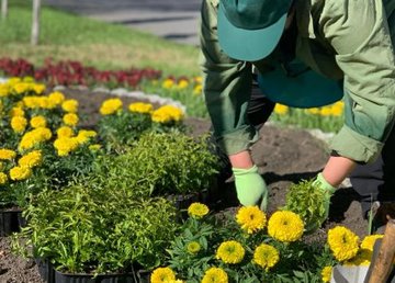В Новобаварском районе высадили несколько тысяч цветов 