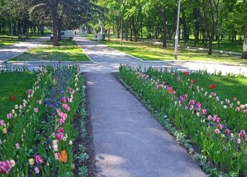 В парке Машиностроителей высадили более двух тысяч цветов 