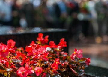 В план мероприятий ко Дню города внесены новые изменения В план мероприятий ко Дню города внесены новые изменения