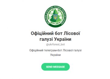 В Украине запустили чат-бот лесной отрасли