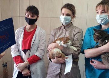 В ветклинике приюта для животных открылась бесплатная школа В ветклинике приюта для животных открылась бесплатная школа