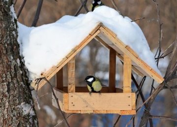 В зоопарке пройдет «Зимний квест» и научат мастерить кормушки  В зоопарке пройдет «Зимний квест» и научат мастерить кормушки
