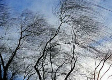 Внимание! Предупреждение о порывах ветра в Украине