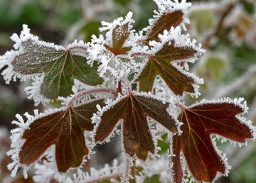 Внимание! Предупреждение об опасных метеорологических явлениях в Украине Внимание! Предупреждение об опасных метеорологических явлениях в Украине